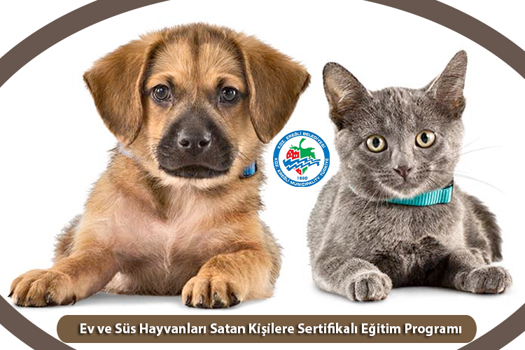 evdekileri kedi veya kopek