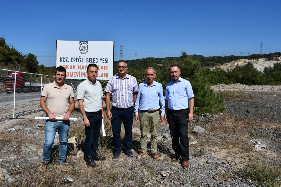 Kdz. Ereğli Belediyesi, Hayvan Hastanesi Ve Bakım Merkezi Kuruyor