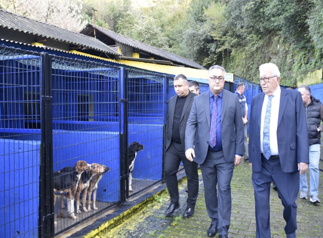 Kdz. Ereğli Belediyesi, Sokak Hayvanları Barınma Evi’nin Kapasitesini Artırıyor