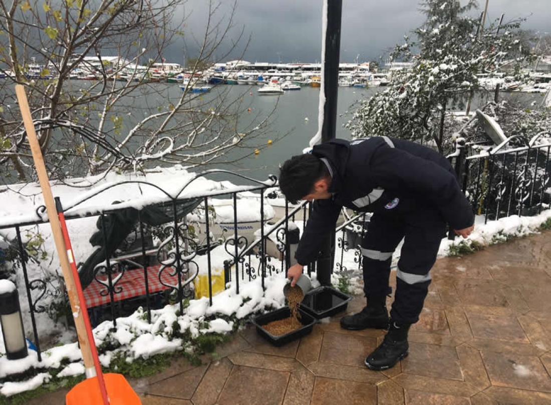 Kdz. Ereğli Belediyesi Sokaktaki Canları Unutmadı