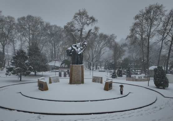 Kdz. Ereğli Belediyesi Sahada Çalışıyor