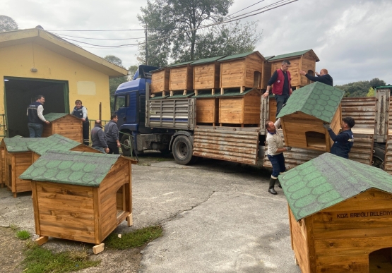 Kdz. Ereğli Belediyesi, Sokak Hayvanları Barınma Evi’nin Kapasitesini Artırıyor