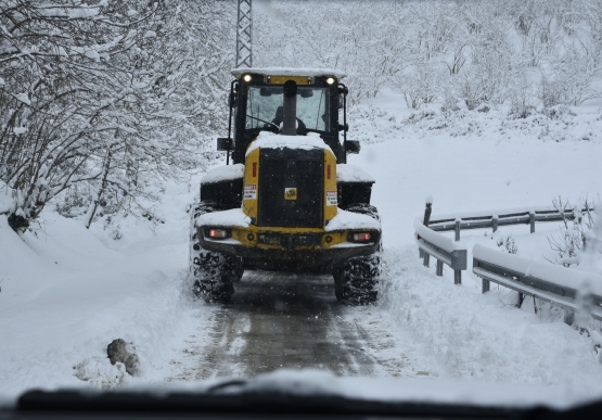 Kdz. Ereğli Belediyesi Sahada Çalışıyor