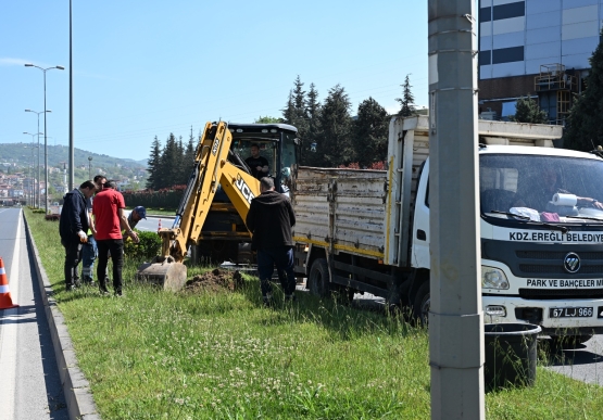 Kdz. Ereğli’de Tropikal Dönüşüm Başladı!