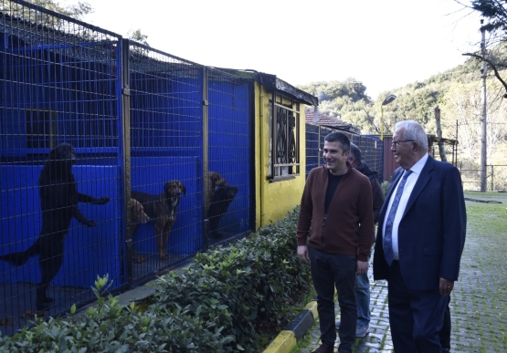 Kdz. Ereğli Belediyesi, Sokak Hayvanları Barınma Evi’nin Kapasitesini Artırıyor