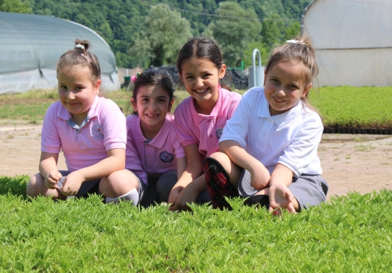 Minik Eller Çiçek Dikti, Tarımı Öğrendi