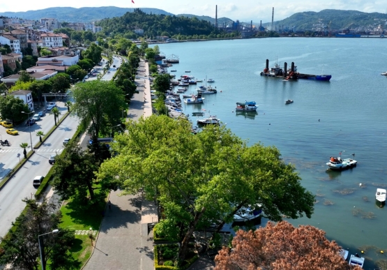 Kdz. Ereğli Çiçek Gibi Oldu..
