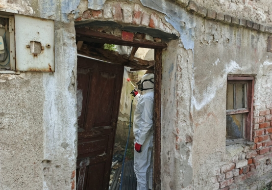 Kdz. Ereğli Belediyesi, Zararlılarla Kaynağında Mücadele Ediyor