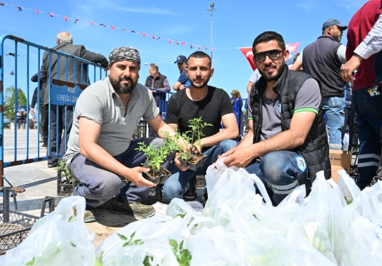 Kdz. Ereğli Belediyesi, 350 Bin Ata Tohumu Fidesini Halka Ücretsiz Dağıttı
