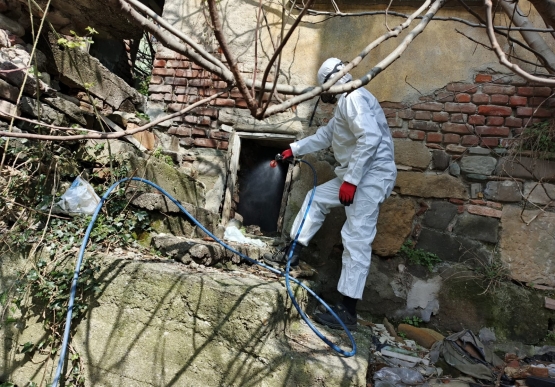 Kdz. Ereğli Belediyesi, Zararlılarla Kaynağında Mücadele Ediyor