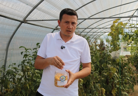Kdz. Ereğli Belediyesi, Toprağın Saf Mirası Ata Tohumlarını Geleceğe Taşıyor
