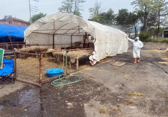 Kurban Pazarı Denetlendi, Kurban Yakalama Timi Kuruldu