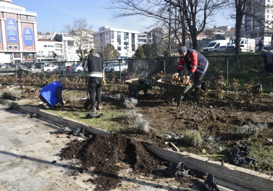 Kdz. Ereğli Lavanta Kokacak