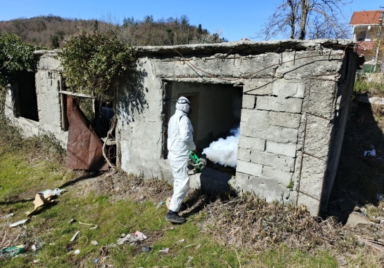 Kdz. Ereğli Belediyesi, Zararlılarla Kaynağında Mücadele Ediyor