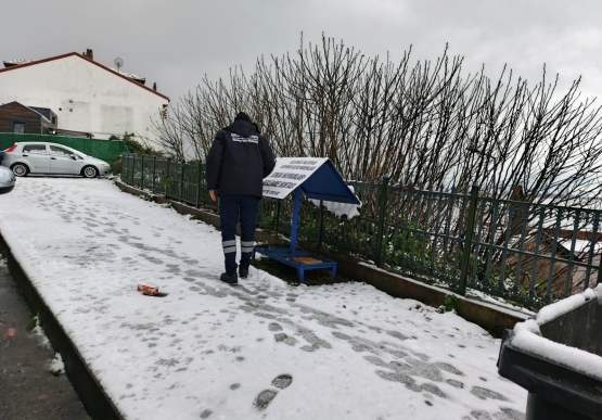 Kdz. Ereğli Belediyesi Sokak Hayvanlarına Sahip Çıkıyor