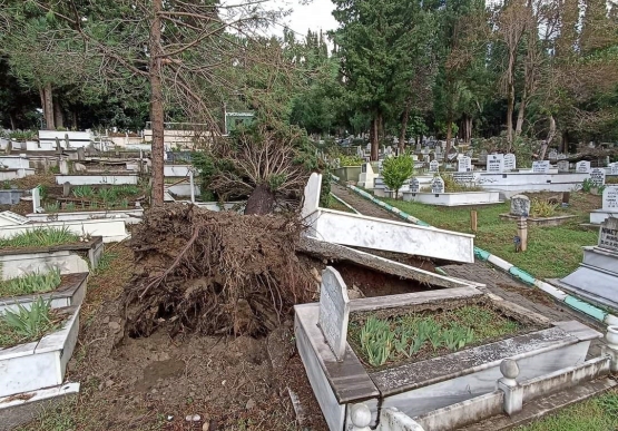 Kdz. Ereğli’de, Fırtınada Hasar Gören Mezarların Tespitleri Yapılıyor