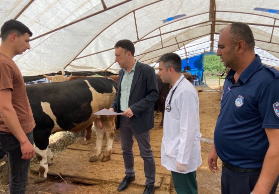 Belediye Kurban Pazarını Denetledi, Kurban Yakalama Timi Kurdu