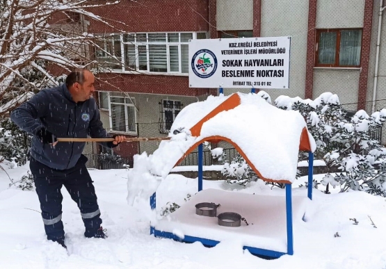 Kdz. Ereğli Belediyesi, Sokaktaki Canları Unutmuyor