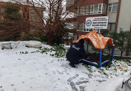 Kdz. Ereğli Belediyesi Sokak Hayvanlarına Sahip Çıkıyor