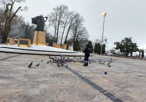 Kdz. Ereğli Belediyesi Sokak Hayvanlarına Sahip Çıkıyor