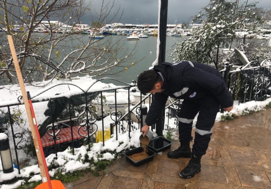 Kdz. Ereğli Belediyesi Sokaktaki Canları Unutmadı