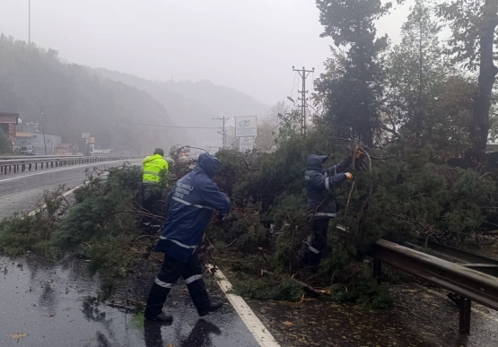 Kdz. Ereğli’de Felaketin İzleri Korkutucu Boyutta