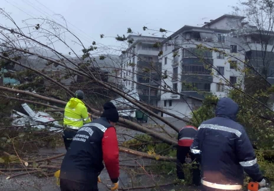 Kdz. Ereğli’de Felaketin İzleri Korkutucu Boyutta