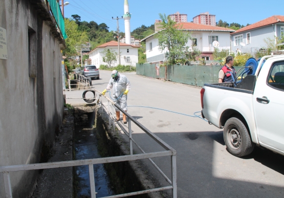 Kdz. Ereğli’de Dere Yatakları Ve Sulak Alanlar İlaçlanıyor
