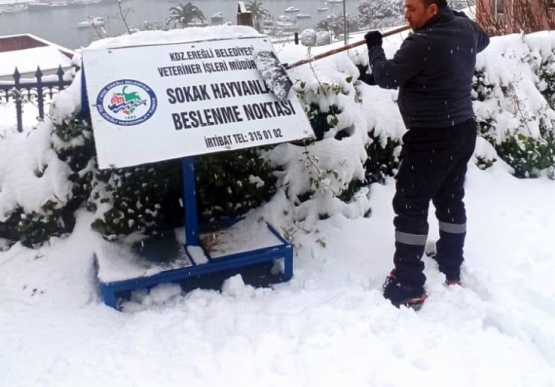Kdz. Ereğli Belediyesi, Sokaktaki Canları Unutmuyor