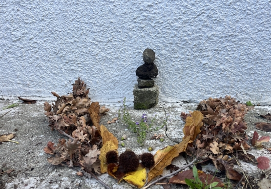 Ölüce Deniz Feneri’ne Kültürel Gezi