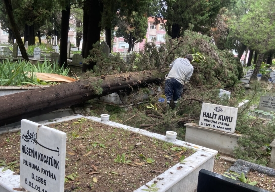 Şehir Mezarlığında Fırtınanın İzleri Silindi