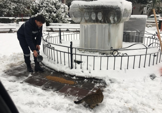 Kdz. Ereğli Belediyesi Sokaktaki Canları Unutmadı
