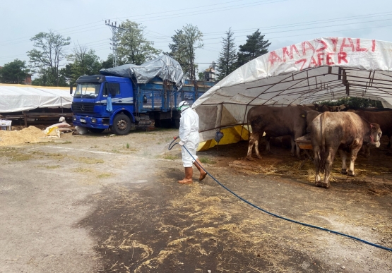 Kurban Pazarı Denetlendi, Kurban Yakalama Timi Kuruldu