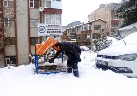 Kdz. Ereğli Belediyesi, Sokaktaki Canları Unutmuyor