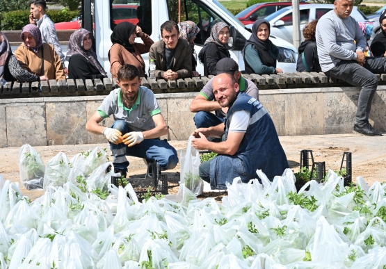 Kdz. Ereğli Belediyesi, 350 Bin Ata Tohumu Fidesini Halka Ücretsiz Dağıttı