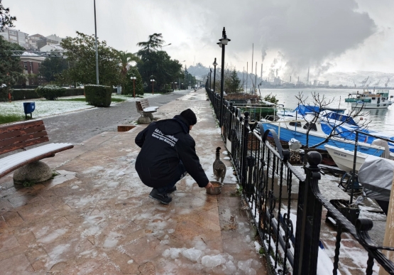 Kdz. Ereğli Belediyesi Sokak Hayvanlarına Sahip Çıkıyor