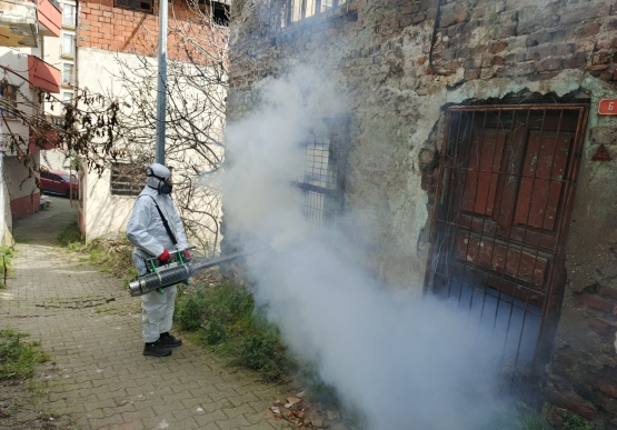 Kdz. Ereğli Belediyesi, Zararlılarla Kaynağında Mücadele Ediyor