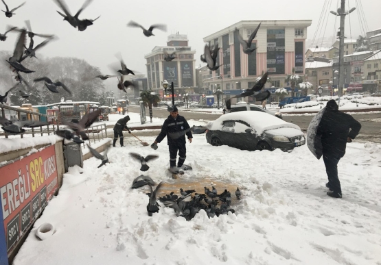 Kdz. Ereğli Belediyesi Sokaktaki Canları Unutmadı