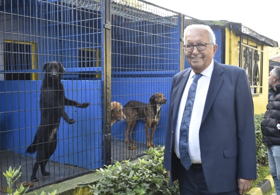 Kdz. Ereğli Belediyesi, Sokak Hayvanları Barınma Evi’nin Kapasitesini Artırıyor