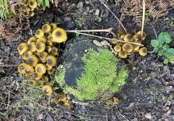 Ölüce Deniz Feneri’ne Kültürel Gezi