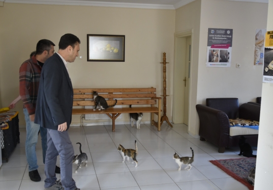 Kdz. Ereğli Gönülden Hayvansevenler Derneği’ne Ziyaret