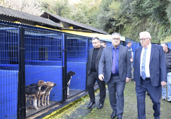 Kdz. Ereğli Belediyesi, Sokak Hayvanları Barınma Evi’nin Kapasitesini Artırıyor