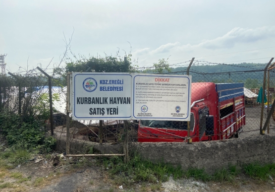 Kurban Pazarı Denetlendi, Kurban Yakalama Timi Kuruldu