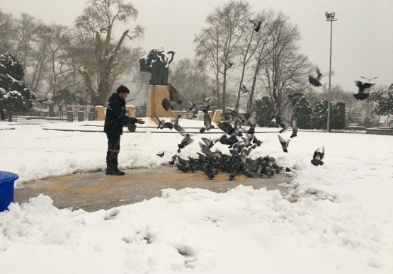 Kdz. Ereğli Belediyesi Sokaktaki Canları Unutmadı