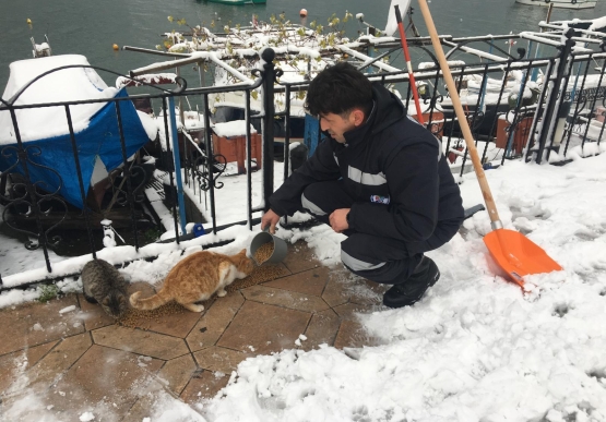 Kdz. Ereğli Belediyesi Sokaktaki Canları Unutmadı