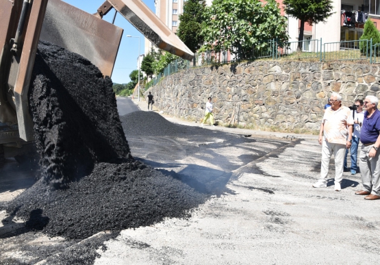 Başkan Posbıyık, Asfalt Çalışmalarını Yerinde İnceledi