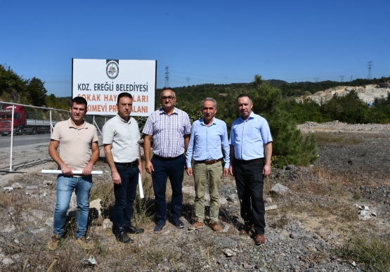 Kdz. Ereğli Belediyesi, Hayvan Hastanesi Ve Bakım Merkezi Kuruyor