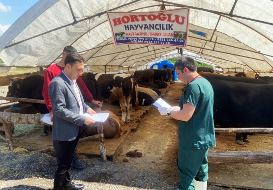 Kurban Pazarı Denetlendi, Kurban Yakalama Timi Kuruldu