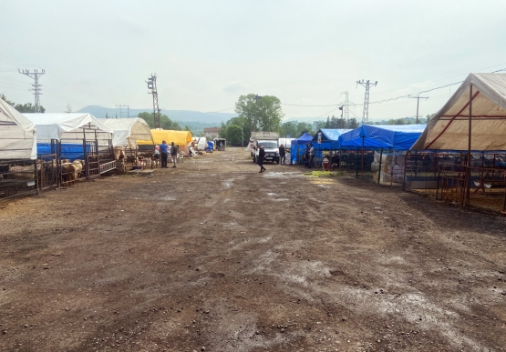 Kurban Pazarı Denetlendi, Kurban Yakalama Timi Kuruldu